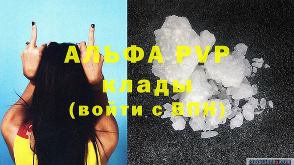 ешки Иннополис