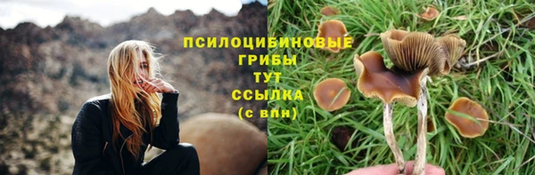 ешки Иннополис