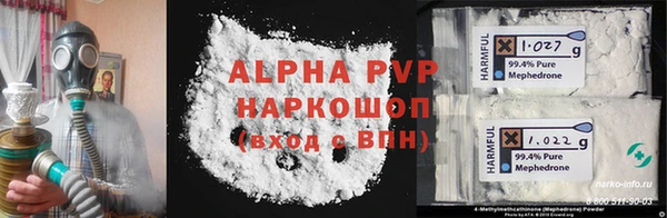 мяу мяу мука Инта