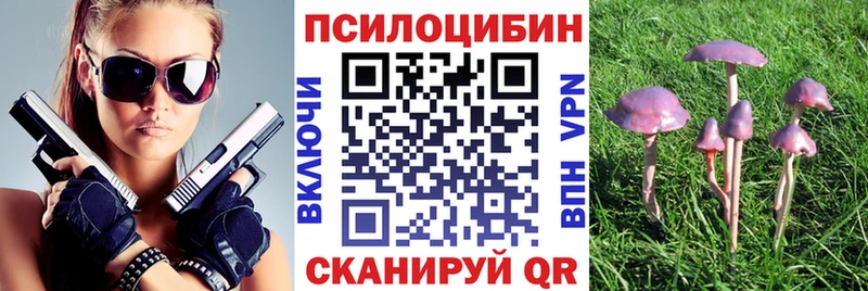 Псилоцибиновые грибы GOLDEN TEACHER Ковдор